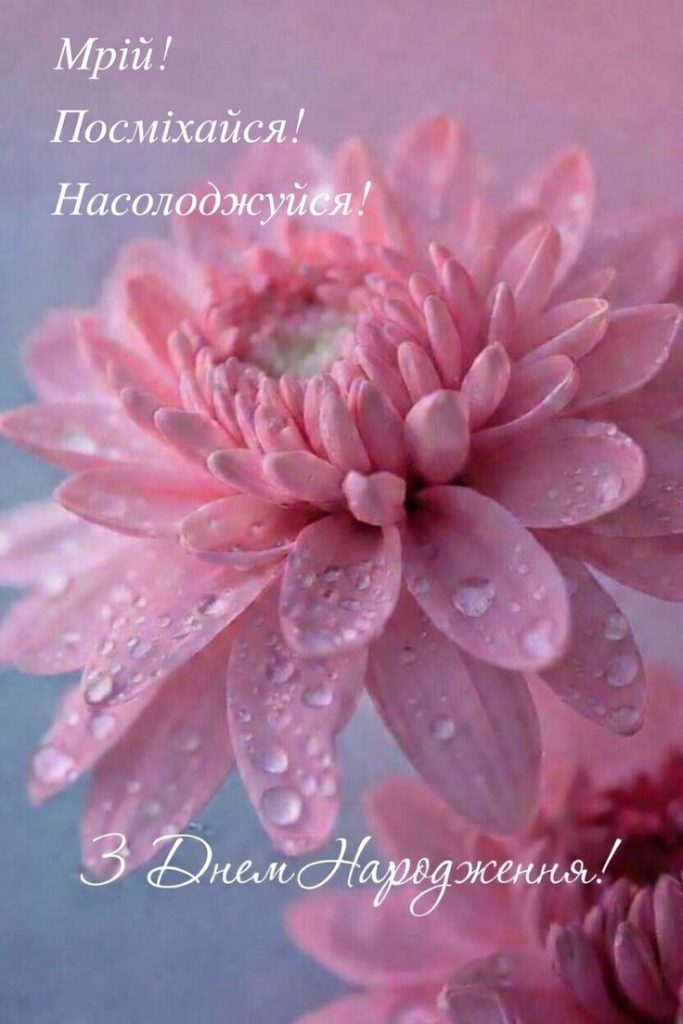 картинка 5 з днем народження оля, з днем народження ольга