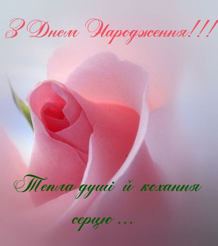 картинка 6 з днем народження оля, з днем народження ольга
